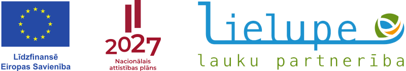 Partnerība